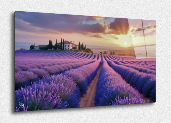 Lavender Fields at Sunrise